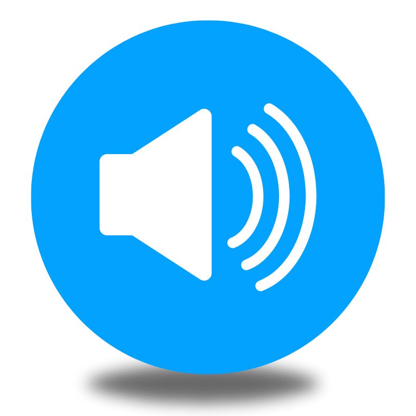 Include Audio Version?