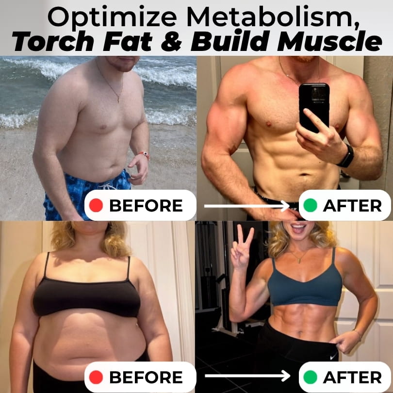 Ultimate High-Protein Fitness Meals & Recipes eGuide